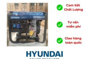 Máy Phát điện Chạy Dầu Hyudai Hd11000le 3